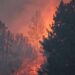 У Південній Каліфорнії спалахнула лісова пожежа, оголошено евакуацію