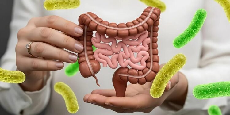 Дисбактеріоз кишківника – причини, симптоми та підходи до лікування
