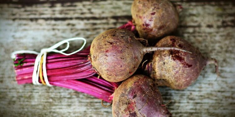Буряк – користь і шкода для організму – як правильно вживати і кому не можна