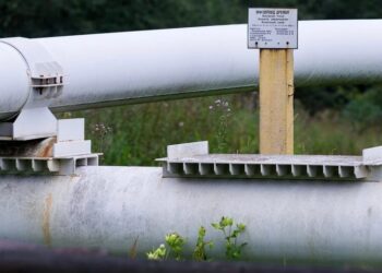 "Дружбу" відновлено – експерт пояснив, чому Угорщина та Словаччина не відмовляються від російської нафти