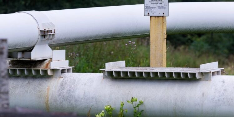 "Дружбу" відновлено – експерт пояснив, чому Угорщина та Словаччина не відмовляються від російської нафти