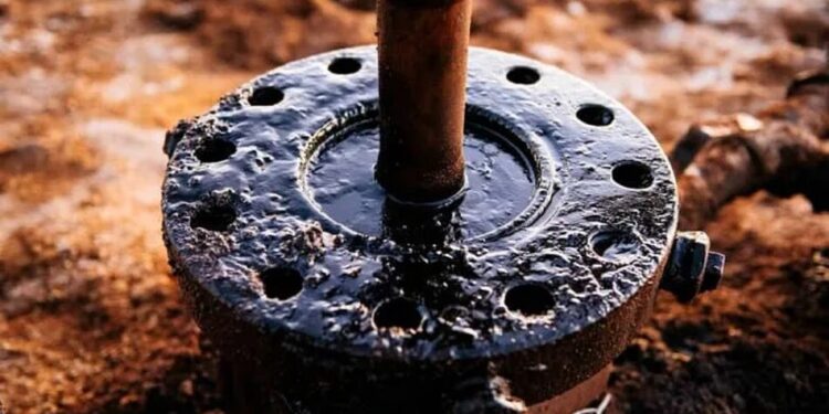 Токсичні викиди і забруднення води – що відбувається після витоку нафти у російському туапсе