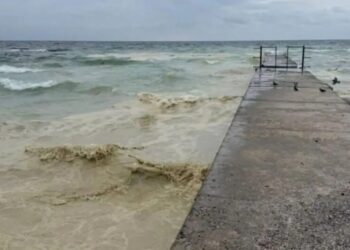 Забруднення Чорного моря олією – еколог пояснив наслідки удару рф по портовій інфраструктурі