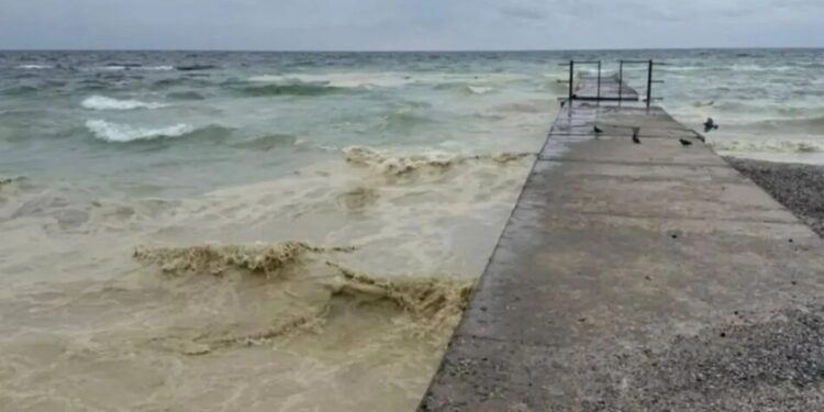 Забруднення Чорного моря олією – еколог пояснив наслідки удару рф по портовій інфраструктурі