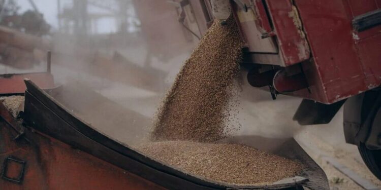 Україна наростила валютну виручку від агроекспорту – куди і що поставляє найбільше