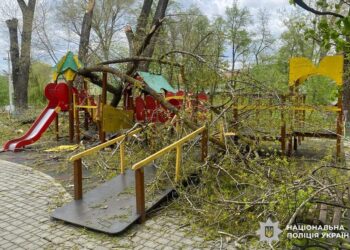 Дерева впали на дитячий майданчик на Буковині, травмовано двох дівчаток