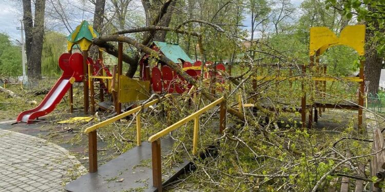 Дерева впали на дитячий майданчик на Буковині, травмовано двох дівчаток