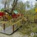 Дерева впали на дитячий майданчик на Буковині, травмовано двох дівчаток