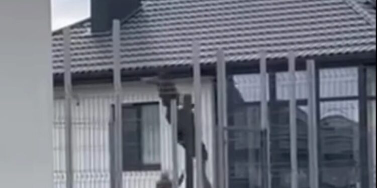 На Волині люди у формі скинули чоловіка з даху будинку – відео і реакція ТЦК