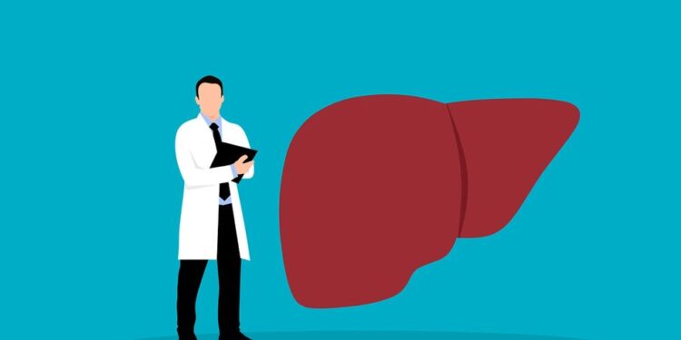 Як алкоголь загрозує печінці людини за надмірного споживання – роз'яснення ЦГЗ
