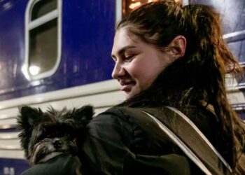 Жіночі вагони з'являться ще у трьох популярних поїздах