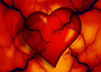 Яким має бути пульс у дорослої людини – норма серцебиття по віку