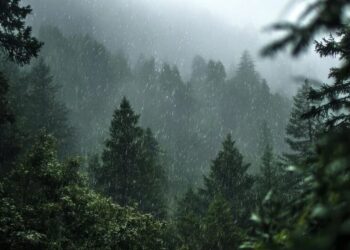 В Україну 23 квітня прийдуть дощі та штормовий вітер