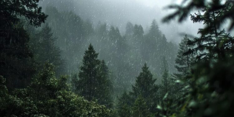 В Україну 23 квітня прийдуть дощі та штормовий вітер