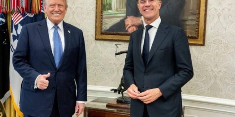 У Білому домі анонсували "відверту розмову" Трампа з Рютте