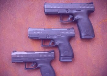 Рада створює робочу групу для узгодження законопроєктів про цивільну зброю з нормами ЄС – що передбачається