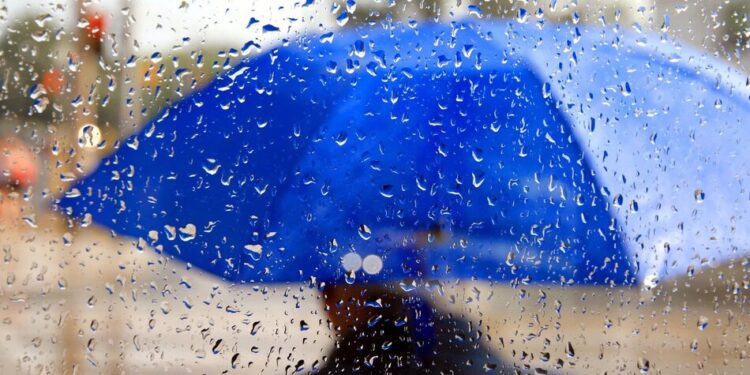 В Україну йде похолодання, дощі та сильний вітер – синоптикиня