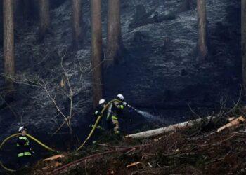 У Японії лісові пожежі змусили евакуювати понад 3000 людей, до гасіння залучили тисячу пожежників