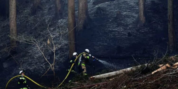 У Японії лісові пожежі змусили евакуювати понад 3000 людей, до гасіння залучили тисячу пожежників