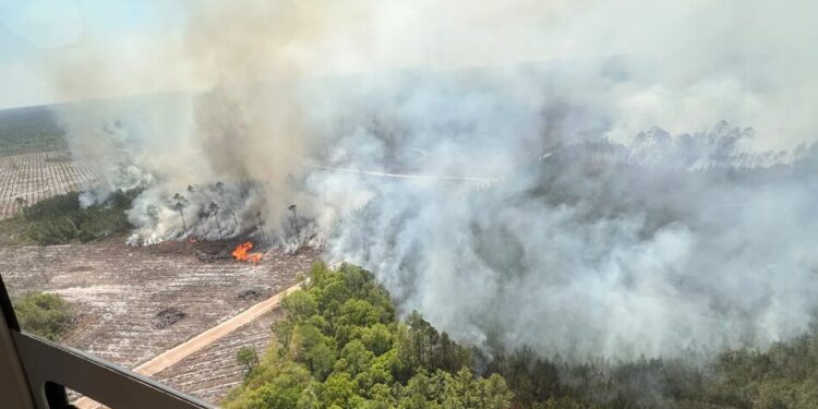 У Джорджії масштабні пожежі знищили понад 120 будинків, ситуація залишається критичною