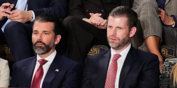 Компанія, пов'язана із синами Трампа, просуває дрони-перехоплювачі для країн Перської затоки