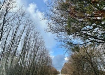 Великдень в Україні принесе дощі та незначне підвищення температури – синоптик