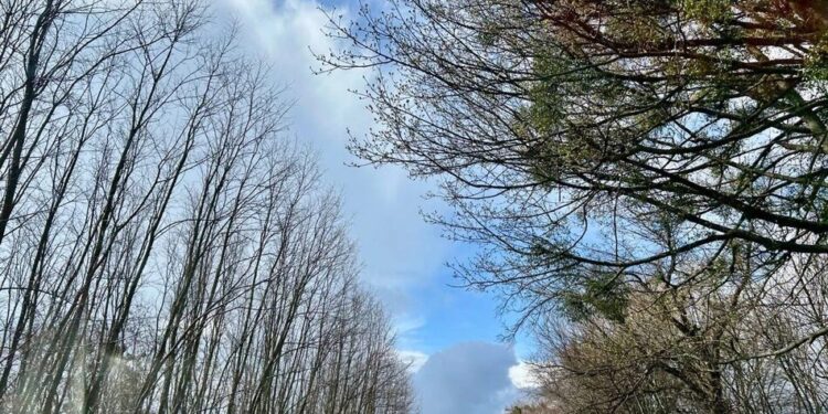 Великдень в Україні принесе дощі та незначне підвищення температури – синоптик