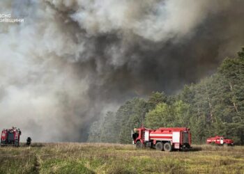 Під Києвом триває триває ліквідація масштабної лісової пожежі, вогонь охопив 70 га