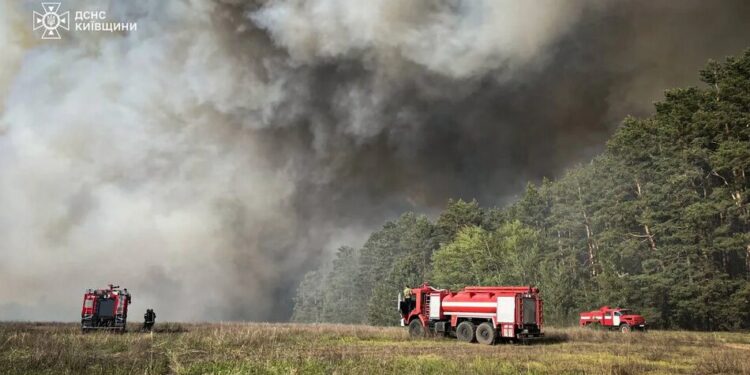 Під Києвом триває триває ліквідація масштабної лісової пожежі, вогонь охопив 70 га