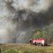 Під Києвом триває триває ліквідація масштабної лісової пожежі, вогонь охопив 70 га