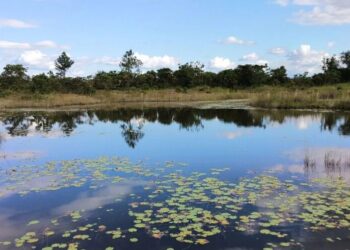 В Україні на водоймах з початку травня загинуло 34 людини