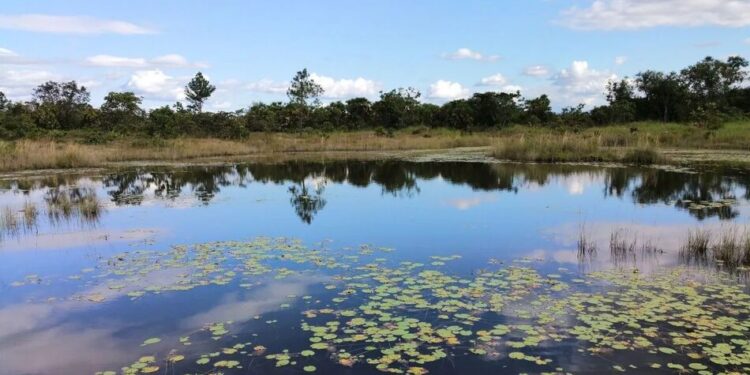 В Україні на водоймах з початку травня загинуло 34 людини