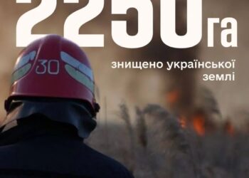 В Україні через пожежі в екосистемах вигоріло майже 2250 гектарів землі