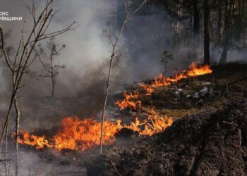 Масштабна пожежа розгорілася у зоні відчуження, гасіння ускладнено через вітер і замінованість