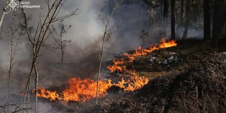 Масштабна пожежа розгорілася у зоні відчуження, гасіння ускладнено через вітер і замінованість