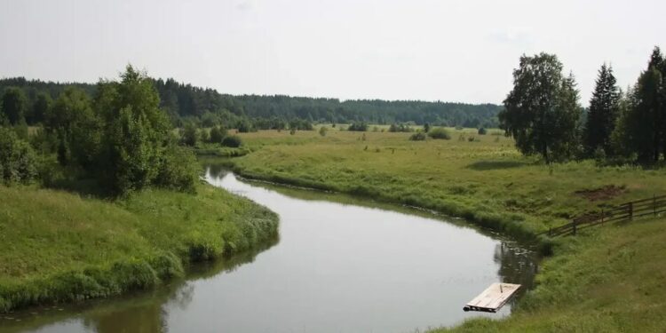 Від початку року в Україні на воді загинули 135 людей, серед них 10 дітей