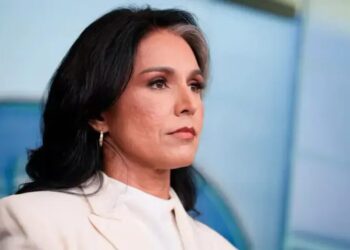 Тулсі Габбард іде у відставку з посади голови розвідки США