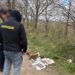 В Україні виявили 20 схронів і вилучили понад 1000 одиниць зброї – поліція показала кадри