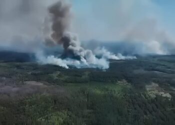 Війська рф масово підпалюють прикордонні ліси України та нищать вежі спостереження, відео