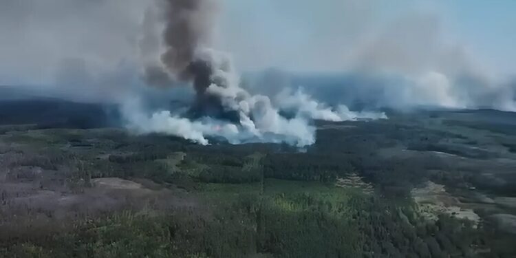 Війська рф масово підпалюють прикордонні ліси України та нищать вежі спостереження, відео