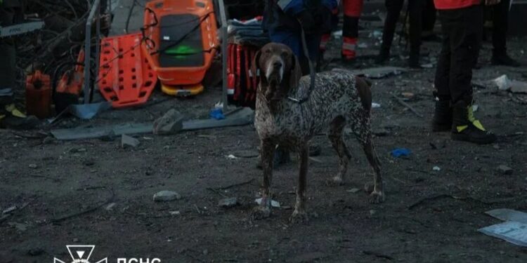 Понад 10 зниклих безвісти через ворожий удар у Києві