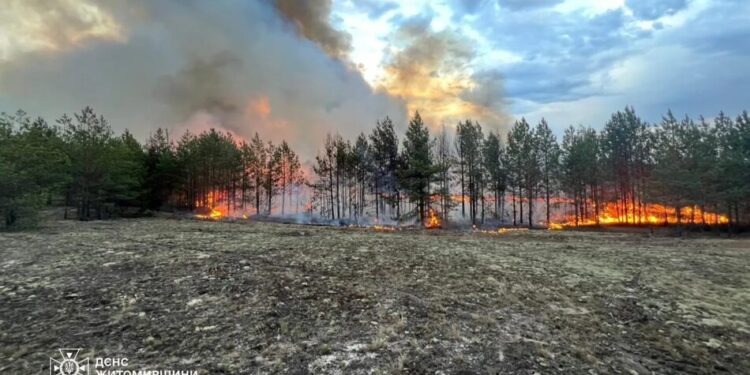 Масштабні лісові пожежі тривають у кількох регіонах, у тому числі у Чорнобильській зоні – ДСНС показала кадри