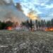 Масштабні лісові пожежі тривають у кількох регіонах, у тому числі у Чорнобильській зоні – ДСНС показала кадри