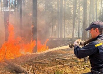 Масштабна лісова пожежа у Чорнобильській зоні триває – над гасінням працюють сотні вогнеборців
