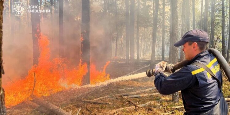 Масштабна лісова пожежа у Чорнобильській зоні триває – над гасінням працюють сотні вогнеборців