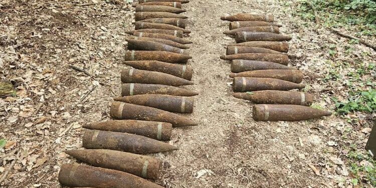 У Берліні в лісі знайшли 59 нерозірваних снарядів часів Другої світової війни