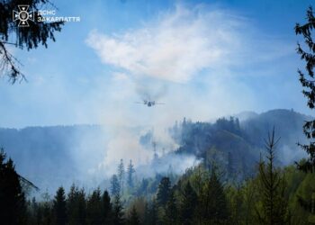 В Україні локалізували дві масштабні лісові пожежі – загрози населеним пунктам немає