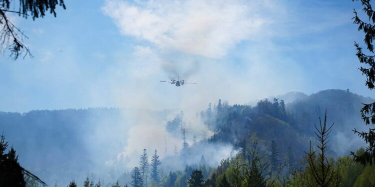 В Україні локалізували дві масштабні лісові пожежі – загрози населеним пунктам немає