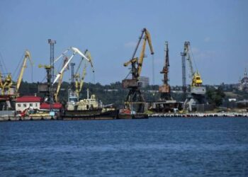 Окупанти вивезли з порту Маріуполя майже 60 тисяч тонн пшениці – міськрада