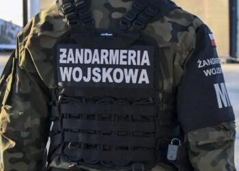 У Польщі за 20 км від кордону з рф виявили розвідувальний дрон